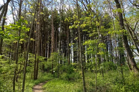 Lake Kegonsa State Park