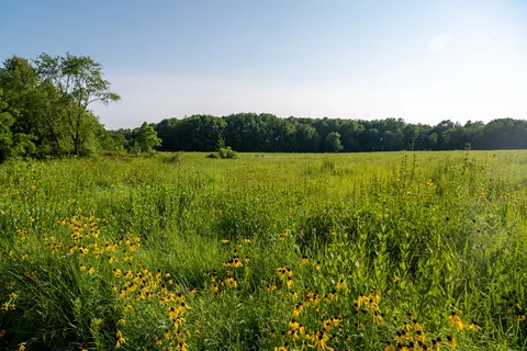 Lake Kegonsa State Park