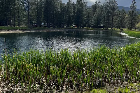Burney Falls/Hat Creek KOA