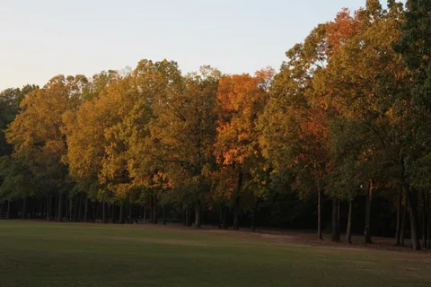 Cypress Black Bayou Recreation and Water Conservation District