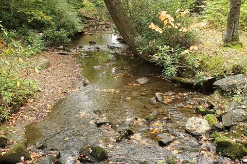 Kooser State Park