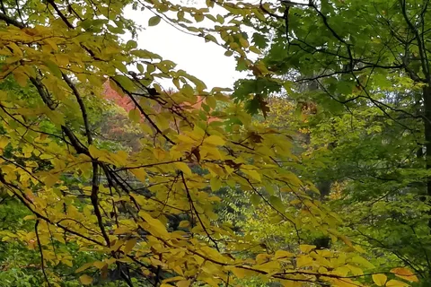 Kooser State Park