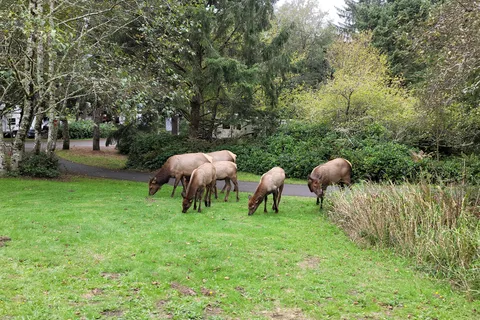 Fort Stevens State Park Campground