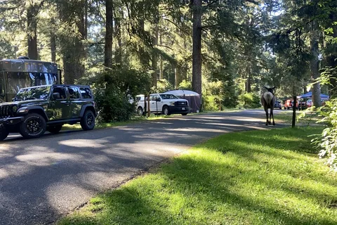 Fort Stevens State Park Campground