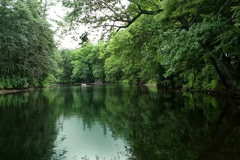 Ferndale Acres Campground