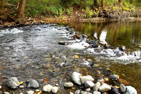 South Prairie Creek RV Park