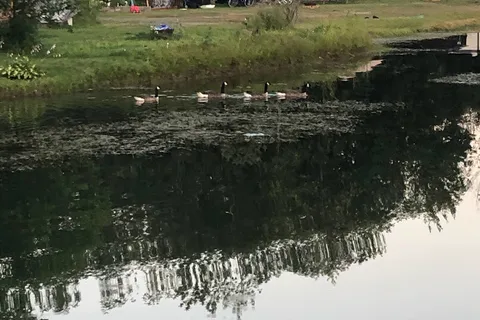 Upper Canada Campground
