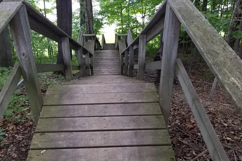 Lakeview Campsite