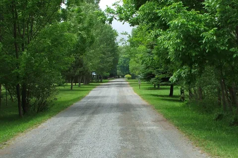 Lakeview Campsite