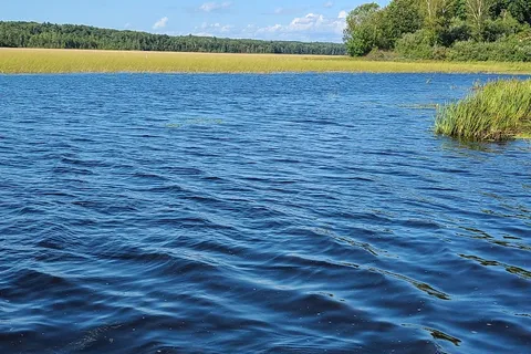 Lakeview Campsite