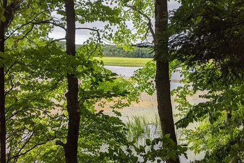 Lakeview Campsite