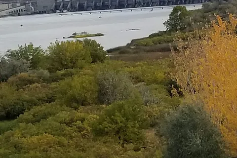 Umatilla Marina and RV ParkPublic