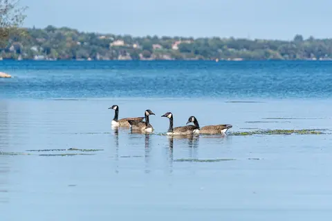 Jacques Cartier State Park