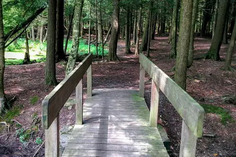 Bowman Lake State Park