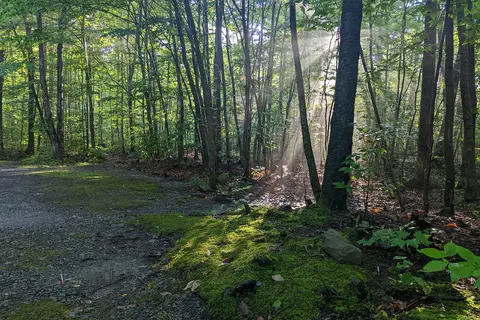Bowman Lake State Park