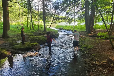 Bowman Lake State Park