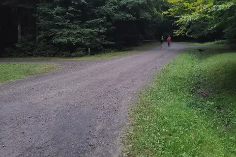 Bowman Lake State Park