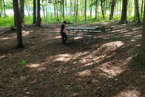 Bowman Lake State Park
