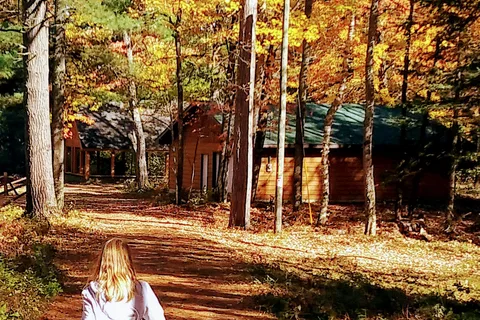 Farquar-Mesta Tourist Park & Campground