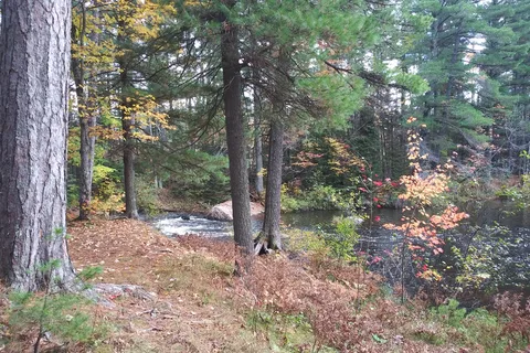 Farquar-Mesta Tourist Park & Campground