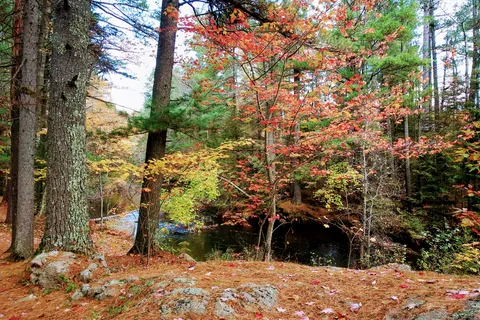 Farquar-Mesta Tourist Park & Campground