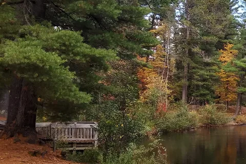 Farquar-Mesta Tourist Park & Campground