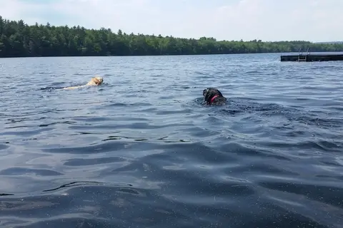 Granger Pond Camping Area