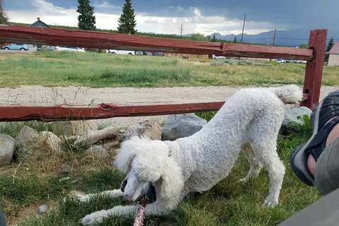 Leadville RV Corral