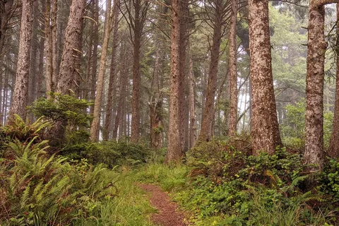The Driftwood RV Resort and Campground