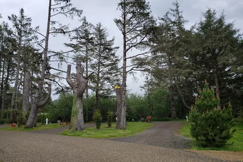 The Driftwood RV Resort and Campground