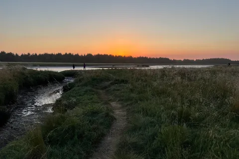 The Driftwood RV Resort and Campground