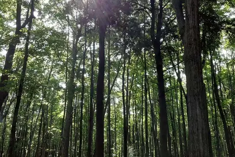 Bewabic State Park
