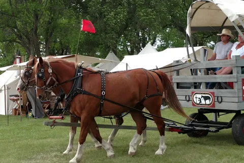 Fort Sisseton State Park