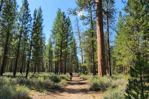 LaPine State Park Campground