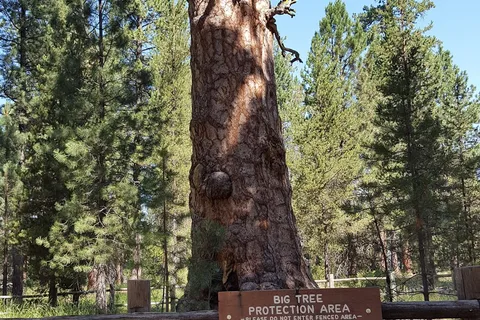 LaPine State Park Campground
