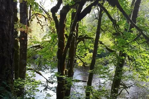 Schafer State Park