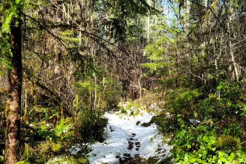 Schafer State Park
