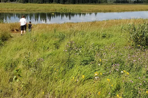 Whirlpool Lake Campground - Riding Mountain National Park
