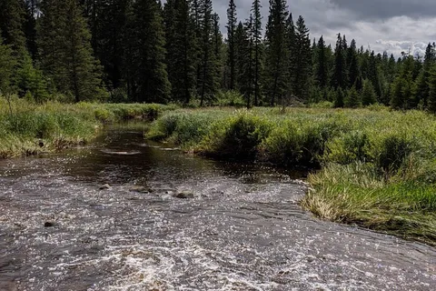 Whirlpool Lake Campground - Riding Mountain National Park