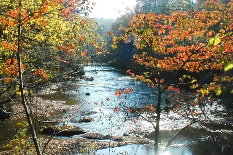 Indian Springs Campground