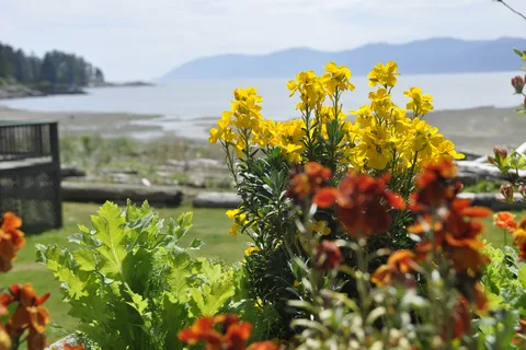 Seabreeze Resorts
