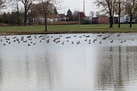 Windsor Campground Inc