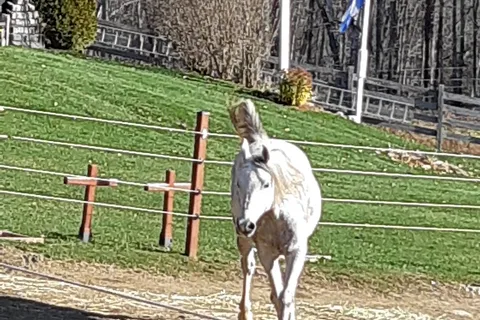 Camping au bord de l eau