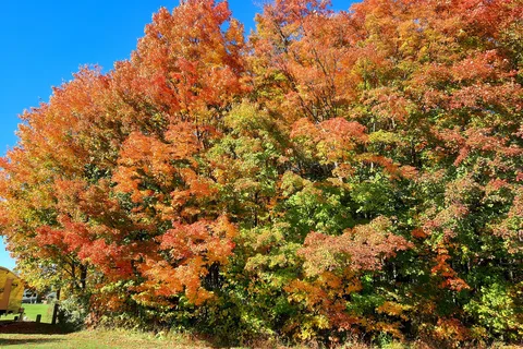 Traverse Bay RV Resort
