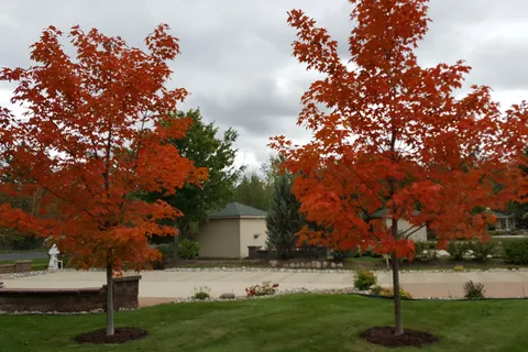Traverse Bay RV Resort
