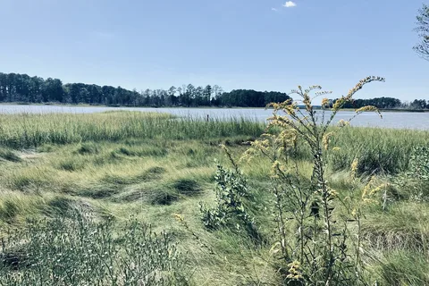 Machicomoco State Park