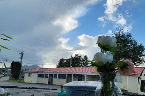 Venice RV Park