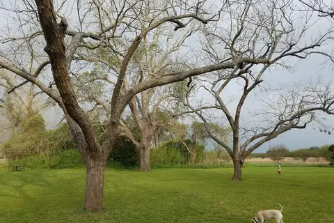 Colorado River RV Campground