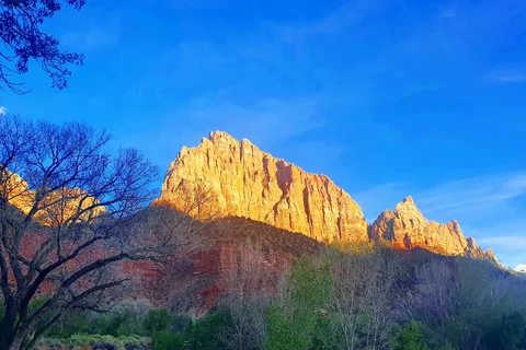 Watchman Campground - Zion National Park