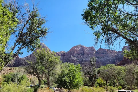 Watchman Campground - Zion National Park